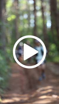 BIB:  <button type="button" onclick="openModal(26569696)" class="btn btn-primary btn-sm float-right" data-toggle="modal" data-target=".modal-high-quality">
                <i class="fa fa-download"></i> Download
                </button>